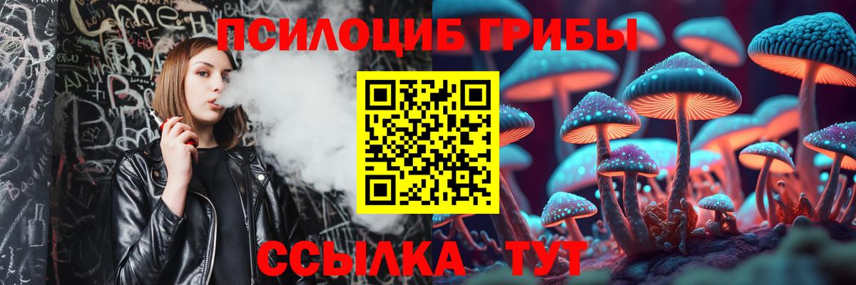 Галлюциногенные грибы MAGIC MUSHROOMS  где продают   Вход с VPN  Ртищево  Псилоцибиновые грибы Psilocybine cubensis 